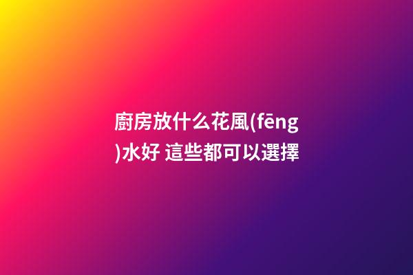 廚房放什么花風(fēng)水好 這些都可以選擇